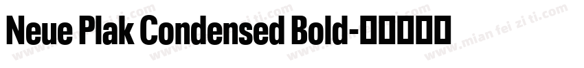 Neue Plak Condensed Bold字体转换